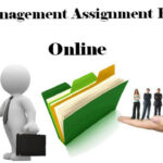 Management Assignment Help