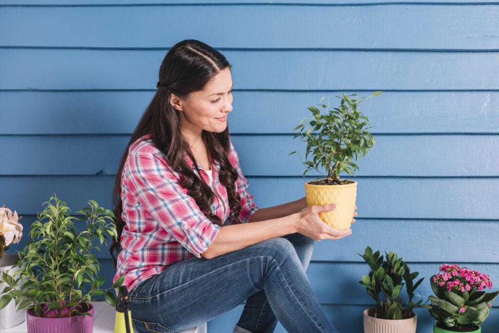 garden plants